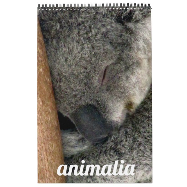 Calendário animalia (Capa)