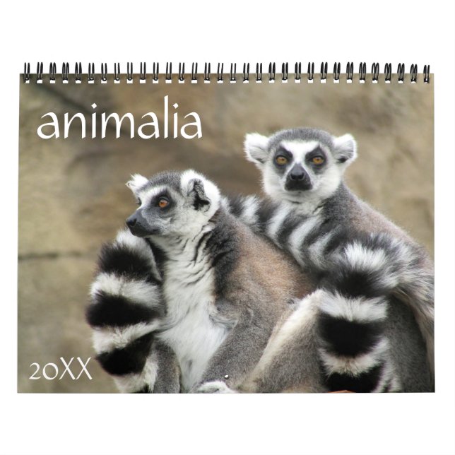 Calendário animalia 2025 (Capa)