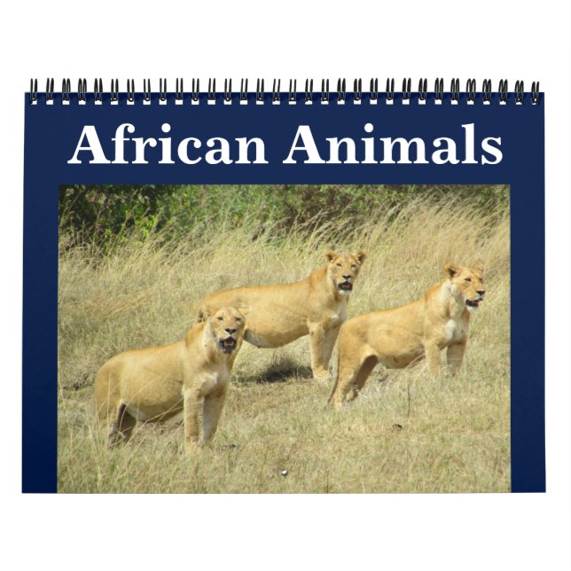Calendário animalia africana (Capa)