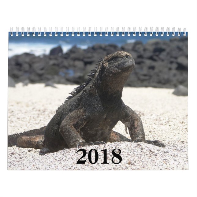 Calendário animals and birds of Galapagos (Capa)