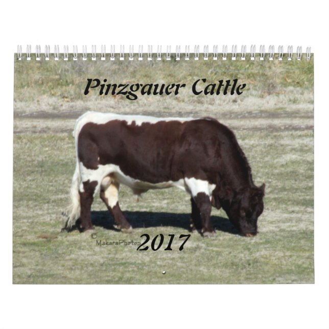 Calendário Ano 2017 da Calendário-mudança de Pinzgauer como (Capa)