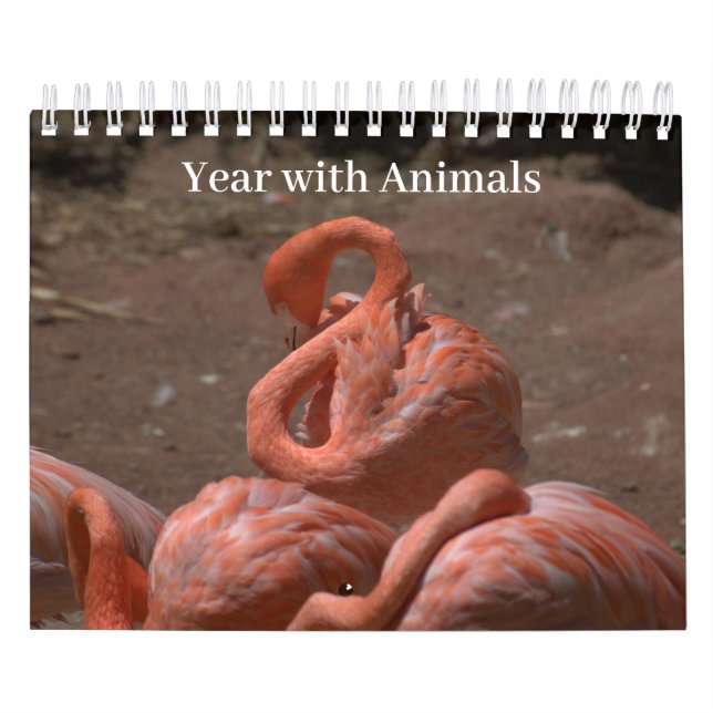 Calendário Ano com Animais (Capa)