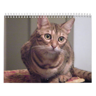 Calendário Ano do gato de Bengal