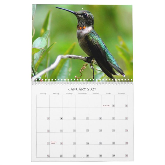 Calendário Ano dos colibris 'redondo (Jan 2027)