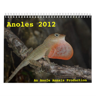 Calendário Anoles 2012