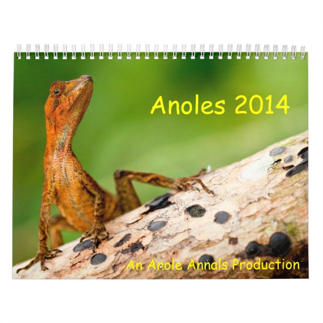 Calendário Anoles 2014 (Capa)