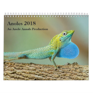 Calendário Anoles 2018 - Uma produção dos anais de Anole