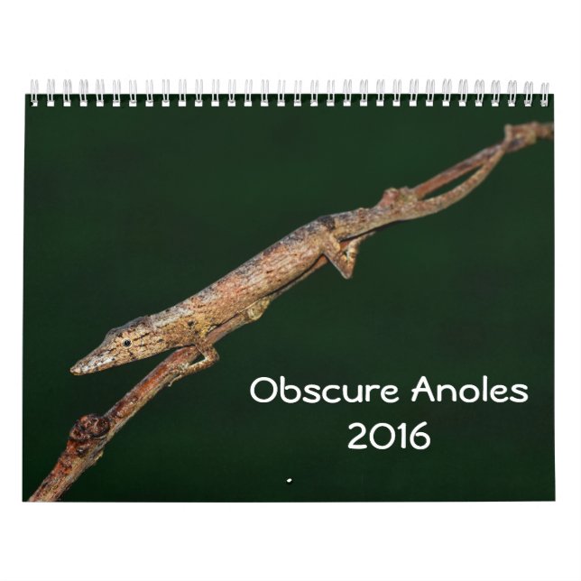 Calendário Anoles obscuro 2016 - uma produção dos anais de (Capa)