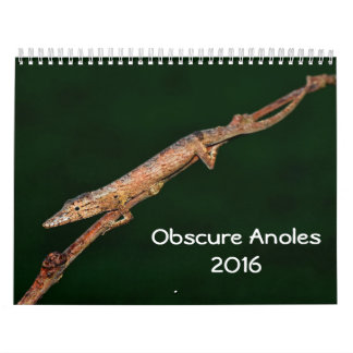 Calendário Anoles obscuro 2016 - uma produção dos anais de