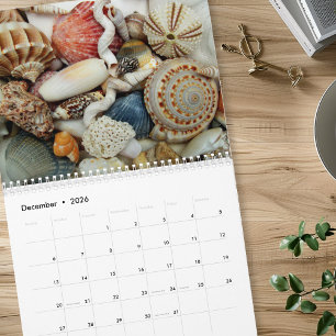Calendário Anual de Fotografia de Conchas Marinhas