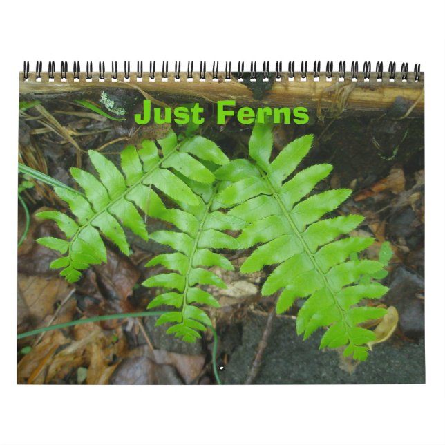 Calendário - Apenas Ferns (Capa)
