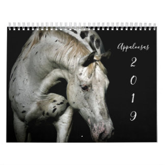 Calendário Appaloosa