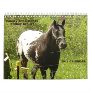 Calendário Appaloosas 2011 da família