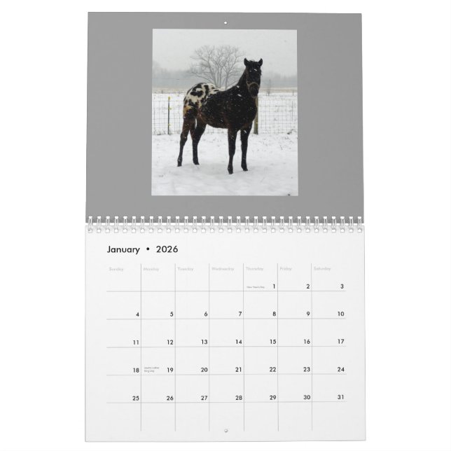 Calendário Appaloosas 2011 da família (Jan 2026)