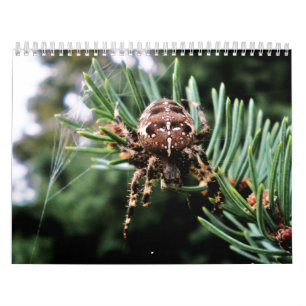 Calendário Arachnida