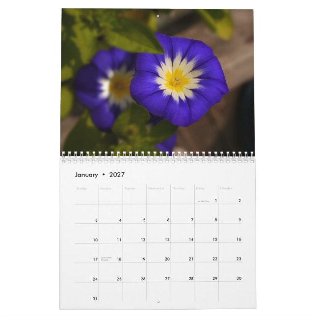 Calendário Arco-íris 2014 das flores (Jan 2027)