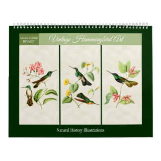 Calendário Arte de Beija-flor Vintage 2027