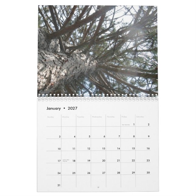 Calendário artística (Jan 2027)