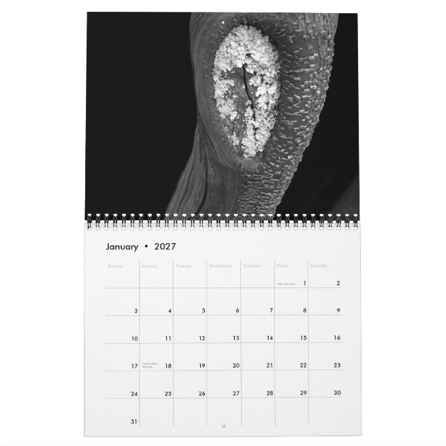 Calendário Árvores 2010 (Jan 2027)