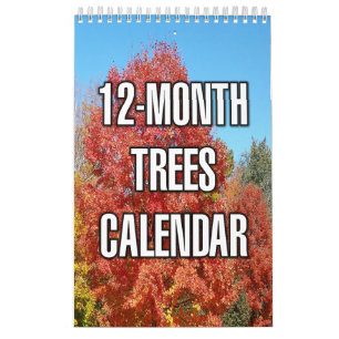 Calendário Árvores de 12 Meses