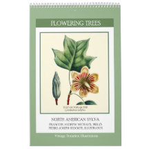 Árvores Floridas Botânicas Vintage Redoute 2027