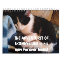 As Aventuras do Skunky Luke