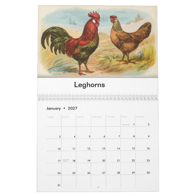 Calendário As aves domésticas de Biggle Calendar (Jan 2027)