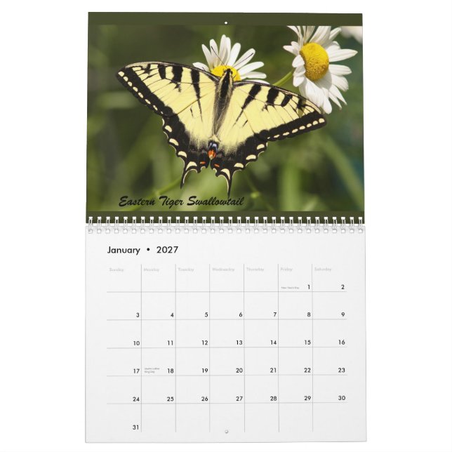 Calendário As borboletas do Catskills (Jan 2027)