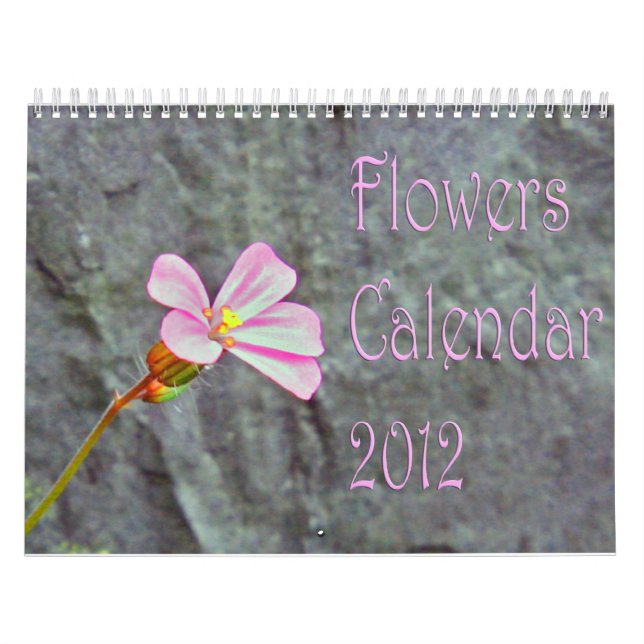 Calendário As flores Calendar 2013 (Capa)