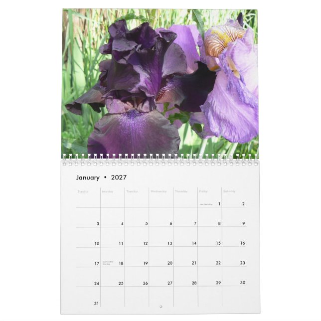 Calendário As íris surpreendentes de Marsha Cale 2008… (Jan 2027)