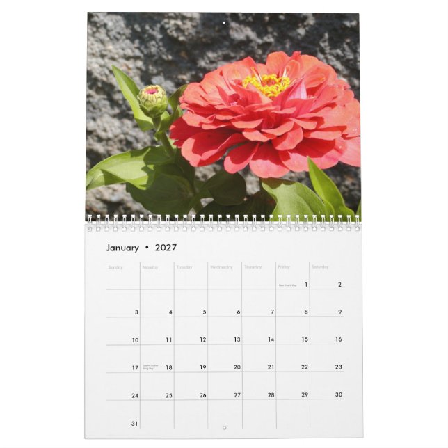 Calendário as meninas e o jardim, Vol. 4 (Jan 2027)