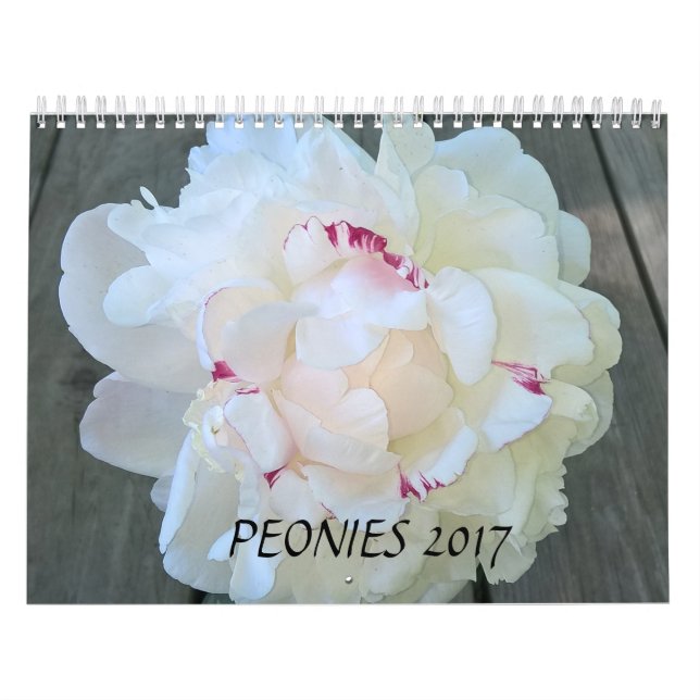 Calendário As peônias Calendar 2017 (Capa)