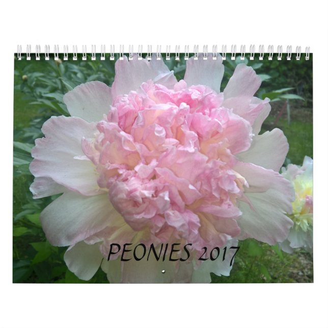 Calendário As peônias Calendar 2017 (Capa)