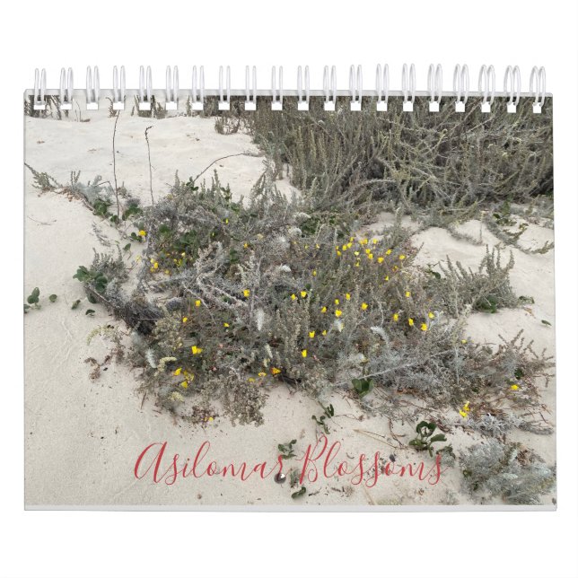 Calendário Asilomar (Capa)