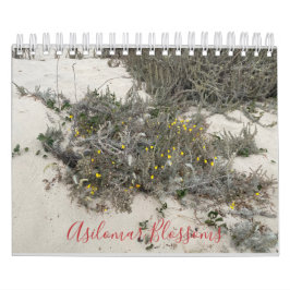 Calendário Asilomar