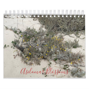 Calendário Asilomar Blossoms