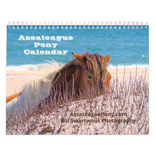 Calendário Assateague Pony Calendar (Capa)