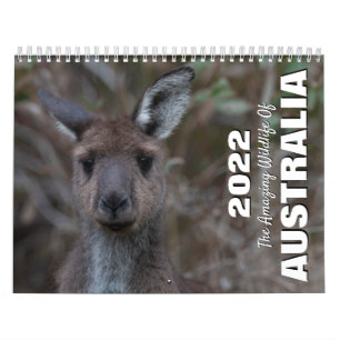 Calendário Austrália 2022 Foto Animal