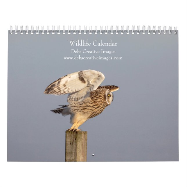 Calendário Aventuras com a Vida Selvagem de 2027 | Fotografia (Capa)
