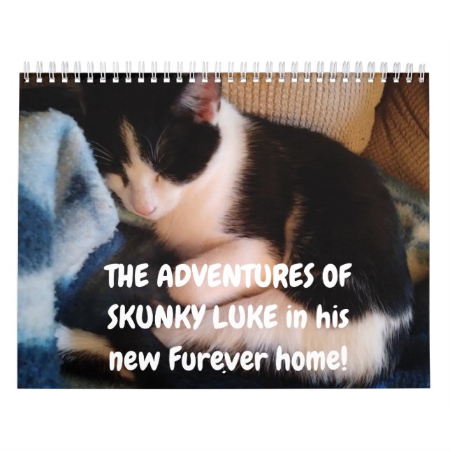 Calendário Aventuras de Skunky Luke (Capa)