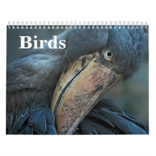 Calendário Aves