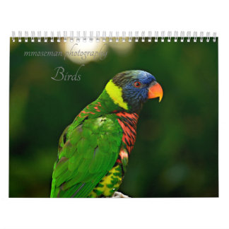 Calendário Aves