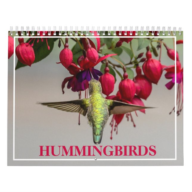 Calendário Aves (Capa)