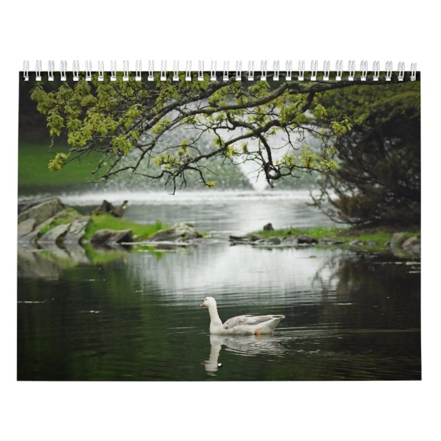 Calendário Aves Aquáticas (Capa)
