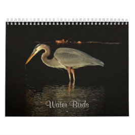 Calendário Aves Aquáticas 2