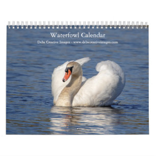 Calendário Aves aquáticas 2026
