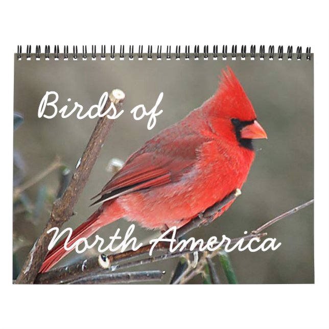 Calendário Aves da América do Norte (Capa)