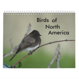 Calendário Aves da América do Norte 2011