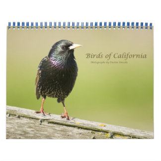 Calendário Aves da Califórnia