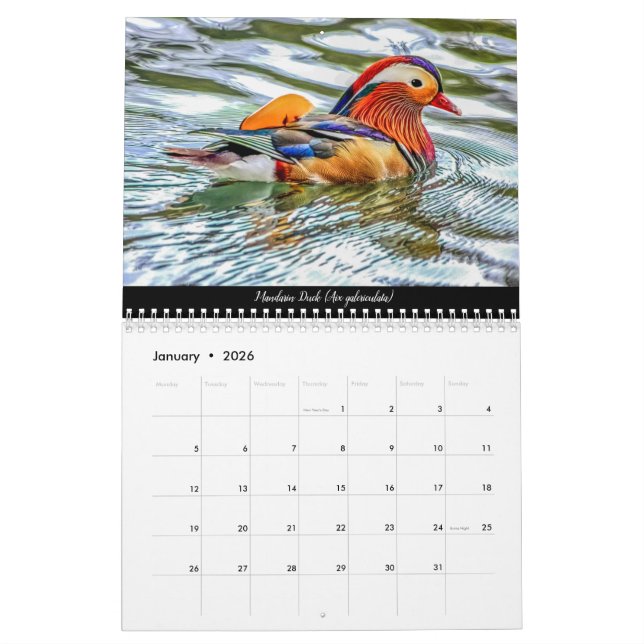 Calendário Aves da Floresta de Dean Calendar 2021 (Jan 2026)